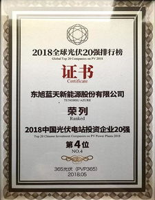 東旭藍天榮登2018中國光伏電站投資企業20強，引領清潔能源投資新篇章